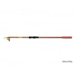 Lanseta Delphin - Queen Tele 3m 100g Lanseta Delphin - Queen Tele 3m 100g